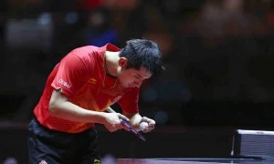 champion相关阅读