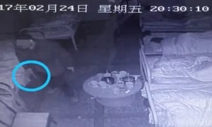 chops相关阅读