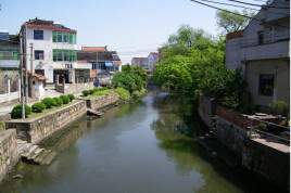 曹泾