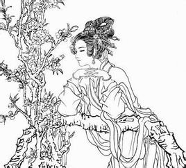 花蕊夫人