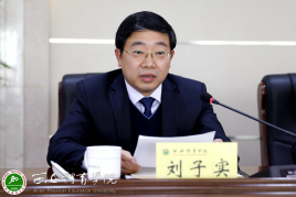 刘子实